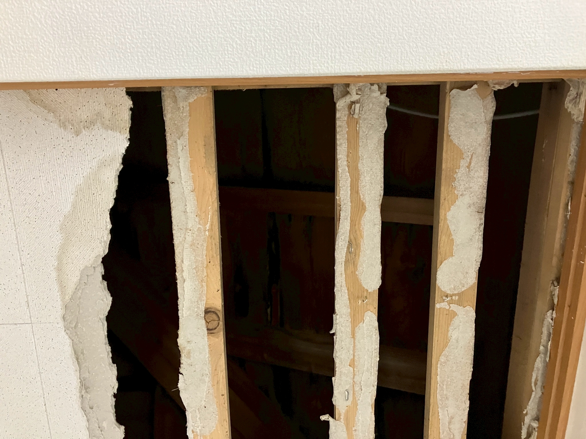 天井の穴から覗いた様子